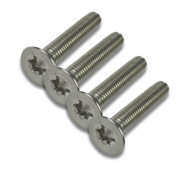 Screws set for foil A2 Torx M8 (4pcs)
