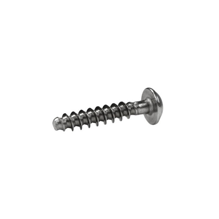 Footstrap screw JP-Australia crossed head PH3 M6x28
