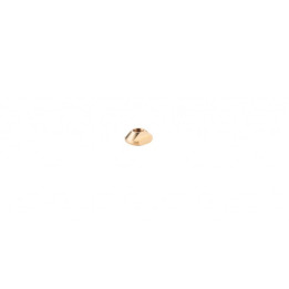 UNIFIBER Brass Baseplate T-Nut M8 UF600000024
