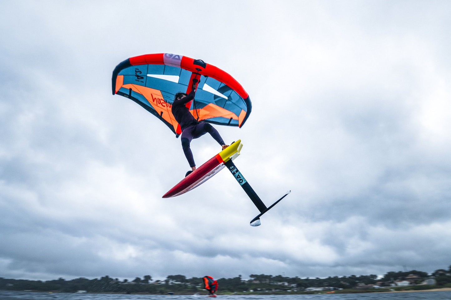 Wing Gaastra Poison 2024