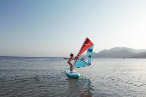 RECHARGE Windsurf Rig Recharge 2.5 REWSRIG25